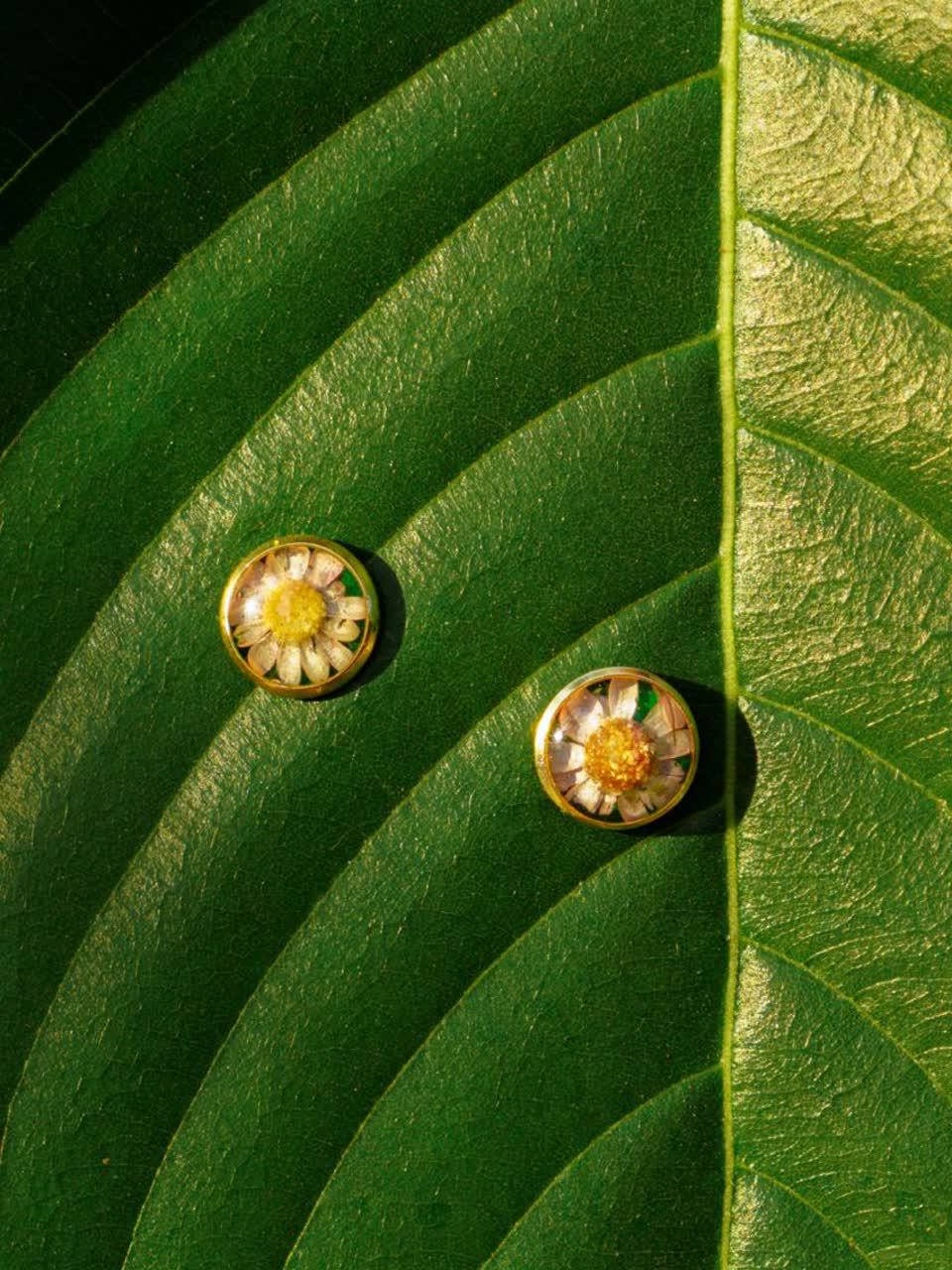 Dua anting bunga putih di atas daun hijau